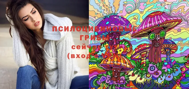 как найти наркотики  Калуга  mega зеркало  Галлюциногенные грибы MAGIC MUSHROOMS 